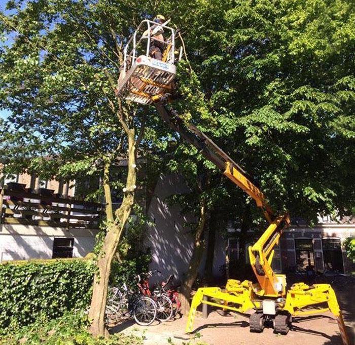 023tuinen Boomverzorging Bloemendaal