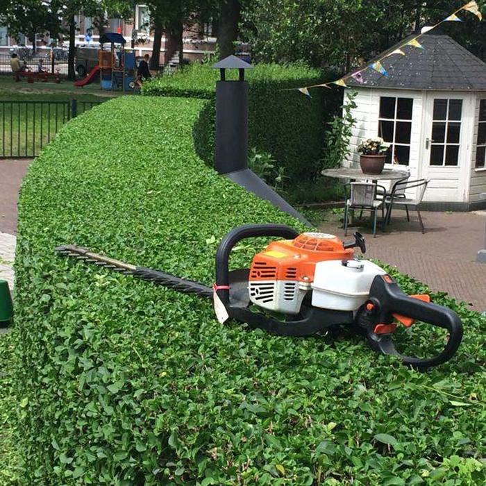 Snoeiwerkzaamheden haarlem