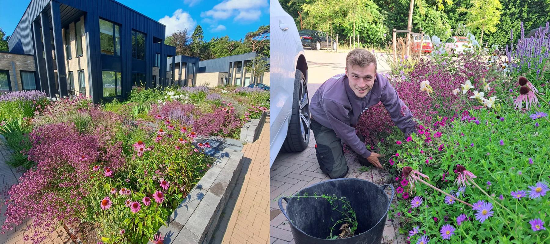 bloemenborder specialisten