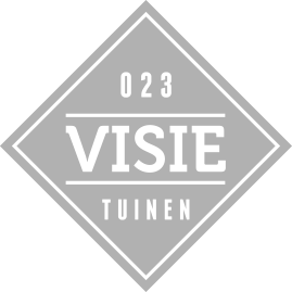 visie-badge